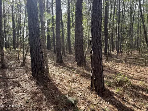 7000 Ms-570, Summit, MS 39666 photo 13