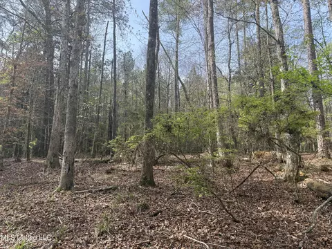 7000 Ms-570, Summit, MS 39666 photo 20