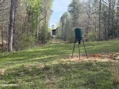 7000 Ms-570, Summit, MS 39666 photo 24