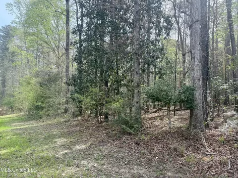 7000 Ms-570, Summit, MS 39666 photo 23