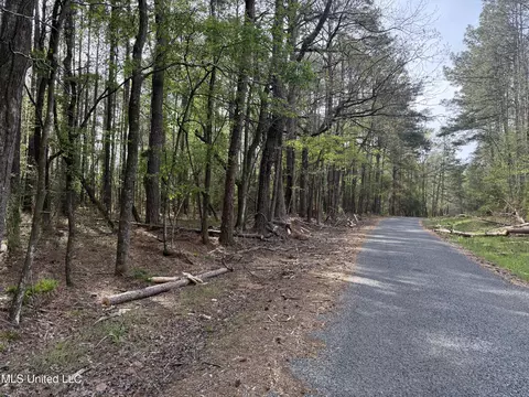 7000 Ms-570, Summit, MS 39666 photo 9