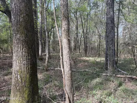 7000 Ms-570, Summit, MS 39666 photo 15