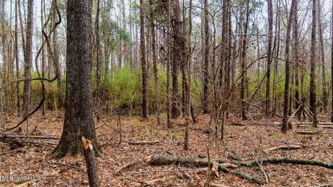 0 Jamison Ct, Brandon, MS 39042 photo 12