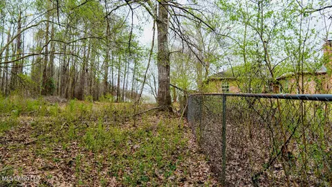 0 Jamison Ct, Brandon, MS 39042 photo 15