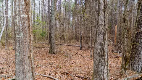 0 Jamison Ct, Brandon, MS 39042 photo 10
