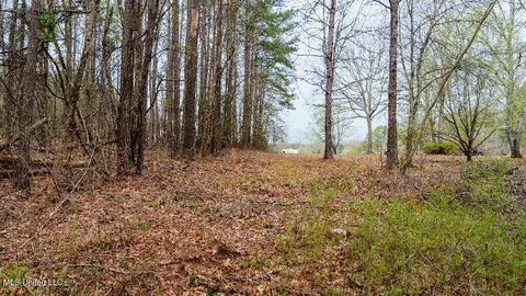0 Jamison Ct, Brandon, MS 39042 photo 16