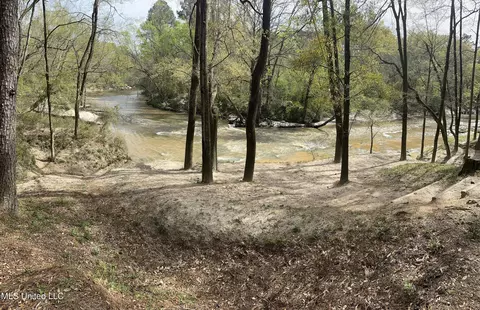 810 N Maple Dr, Braxton, MS 39044 photo 29