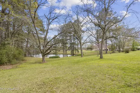 810 N Maple Dr, Braxton, MS 39044 photo 9