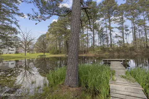 810 N Maple Dr, Braxton, MS 39044 photo 12