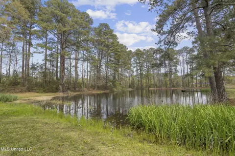 810 N Maple Dr, Braxton, MS 39044 photo 11
