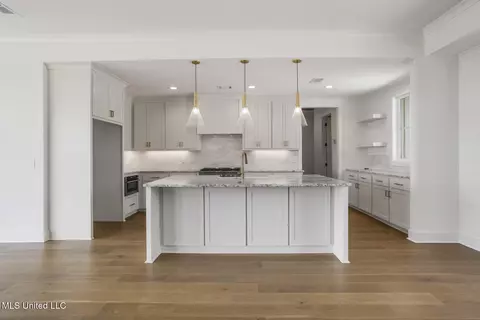 Kitchen - 101 Harbour Lndg, Madison, MS 39110 photo 1 of 7