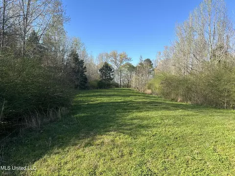1057 Wesson Game Ln, Wesson, MS 39191 photo 5