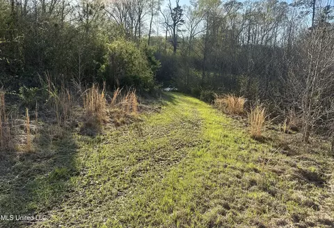 1057 Wesson Game Ln, Wesson, MS 39191 photo 10