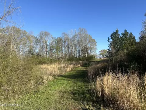 1057 Wesson Game Ln, Wesson, MS 39191 photo 7