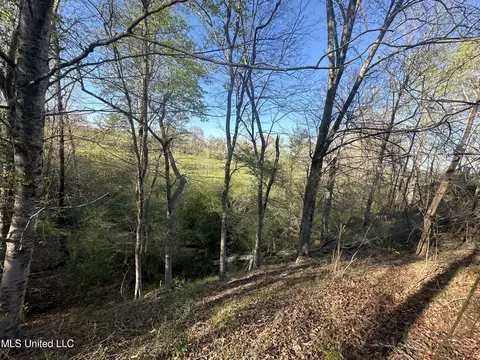 1057 Wesson Game Ln, Wesson, MS 39191 photo 6