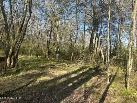 1057 Wesson Game Ln, Wesson, MS 39191 photo 3