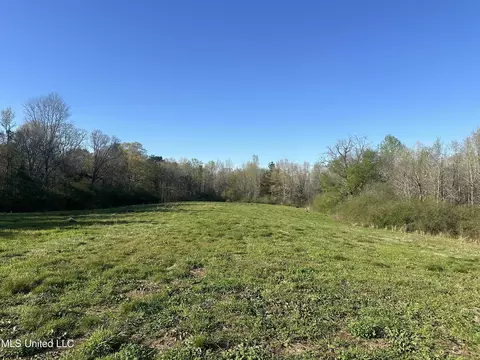 1057 Wesson Game Ln, Wesson, MS 39191 photo 2