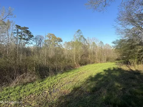 1057 Wesson Game Ln, Wesson, MS 39191 photo 12