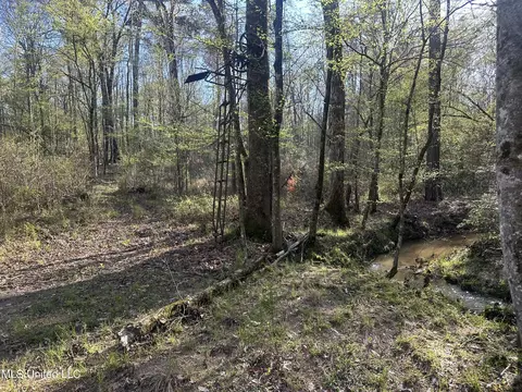 1057 Wesson Game Ln, Wesson, MS 39191 photo 4