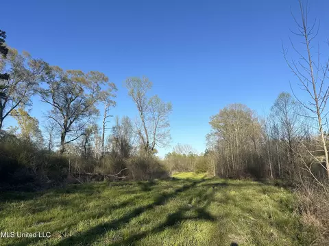 1057 Wesson Game Ln, Wesson, MS 39191 photo 11