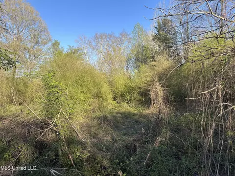 1057 Wesson Game Ln, Wesson, MS 39191 photo 15