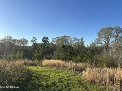 1057 Wesson Game Ln, Wesson, MS 39191 photo 16