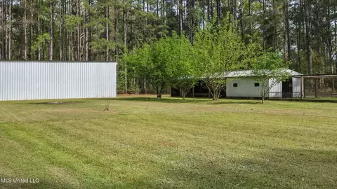 Exterior - 1539 Benndale Rd, Mclain, MS 39456 photo 11 of 18