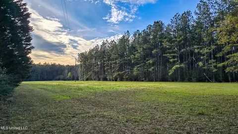 Other - 1539 Benndale Rd, Mclain, MS 39456 photo 26 of 31