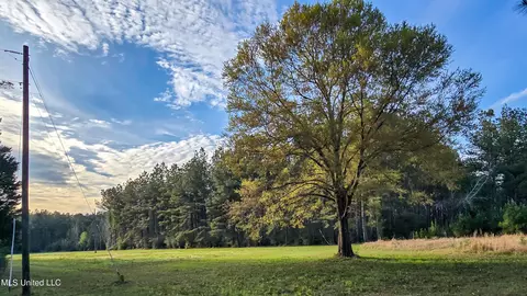 Other - 1539 Benndale Rd, Mclain, MS 39456 photo 2 of 31
