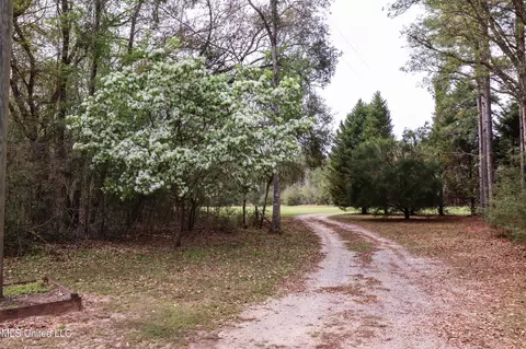 Exterior - 1539 Benndale Rd, Mclain, MS 39456 photo 5 of 18