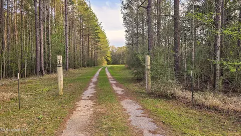 Other - 1539 Benndale Rd, Mclain, MS 39456 photo 3 of 31