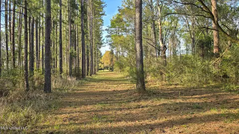 Other - 1539 Benndale Rd, Mclain, MS 39456 photo 23 of 31