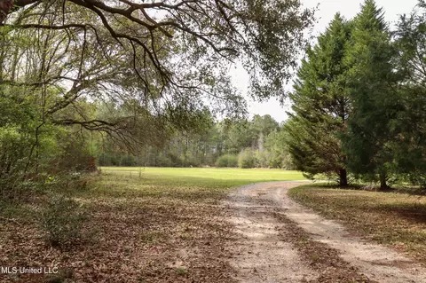 Exterior - 1539 Benndale Rd, Mclain, MS 39456 photo 6 of 18