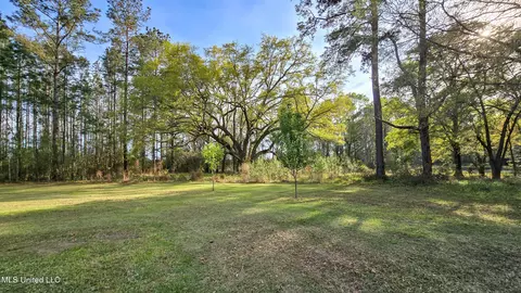 Exterior - 1539 Benndale Rd, Mclain, MS 39456 photo 13 of 18