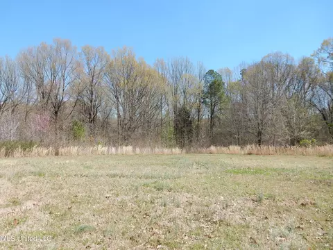 Other - 3830 S Baldwin Rd, Hernando, MS 38632 photo 10 of 11