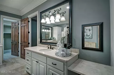 Bath - 512 Durrango Dr, Brandon, MS 39047 photo 8 of 13