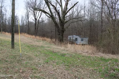 2843 Prichard Rd, Coldwater, MS 38618 photo 2