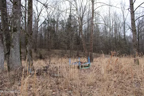 2843 Prichard Rd, Coldwater, MS 38618 photo 6