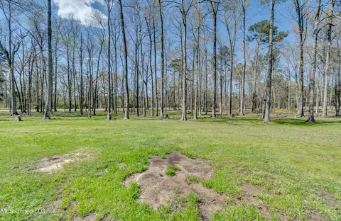1317 Star Rd, Brandon, MS 39042 photo 49
