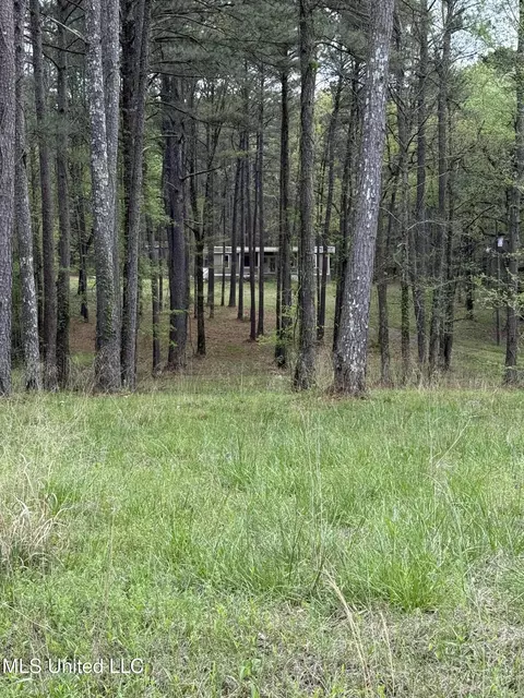 1900 Crawford Cir, Lena, MS 39094 photo 2