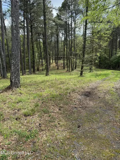 1900 Crawford Cir, Lena, MS 39094 photo 8