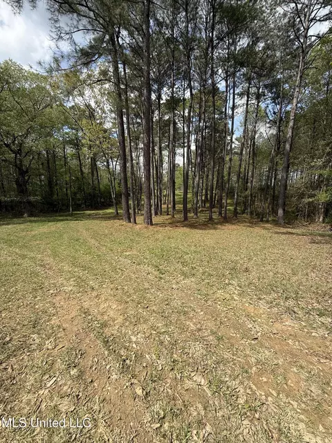 1900 Crawford Cir, Lena, MS 39094 photo 10