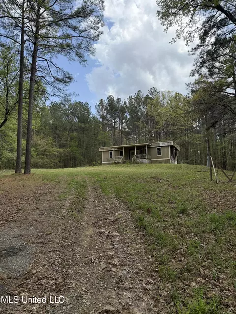 1900 Crawford Cir, Lena, MS 39094 photo 3