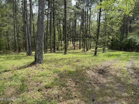 1900 Crawford Cir, Lena, MS 39094 photo 7