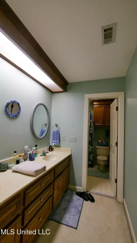 Bath - 50 Moss Forest Cir, Jackson, MS 39211 photo 3 of 13
