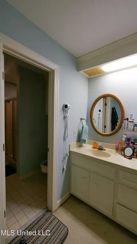 Bath - 50 Moss Forest Cir, Jackson, MS 39211 photo 7 of 13
