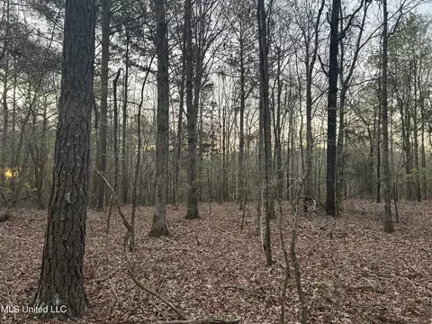 County Road 270, Union, MS 39365 photo 6