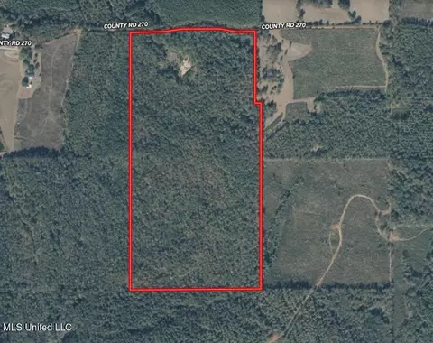 County Road 270, Union, MS 39365 photo 46