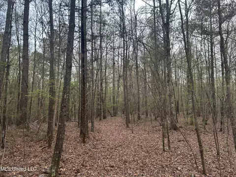 County Road 270, Union, MS 39365 photo 16
