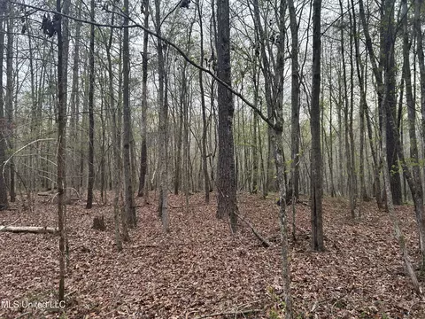 County Road 270, Union, MS 39365 photo 19